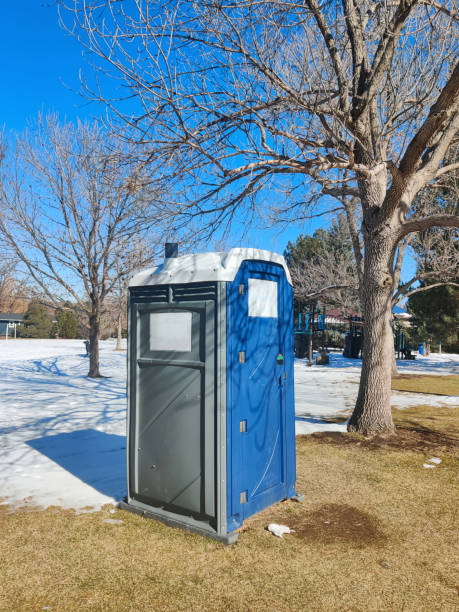 Best Portable Toilets with Baby Changing Stations in USA